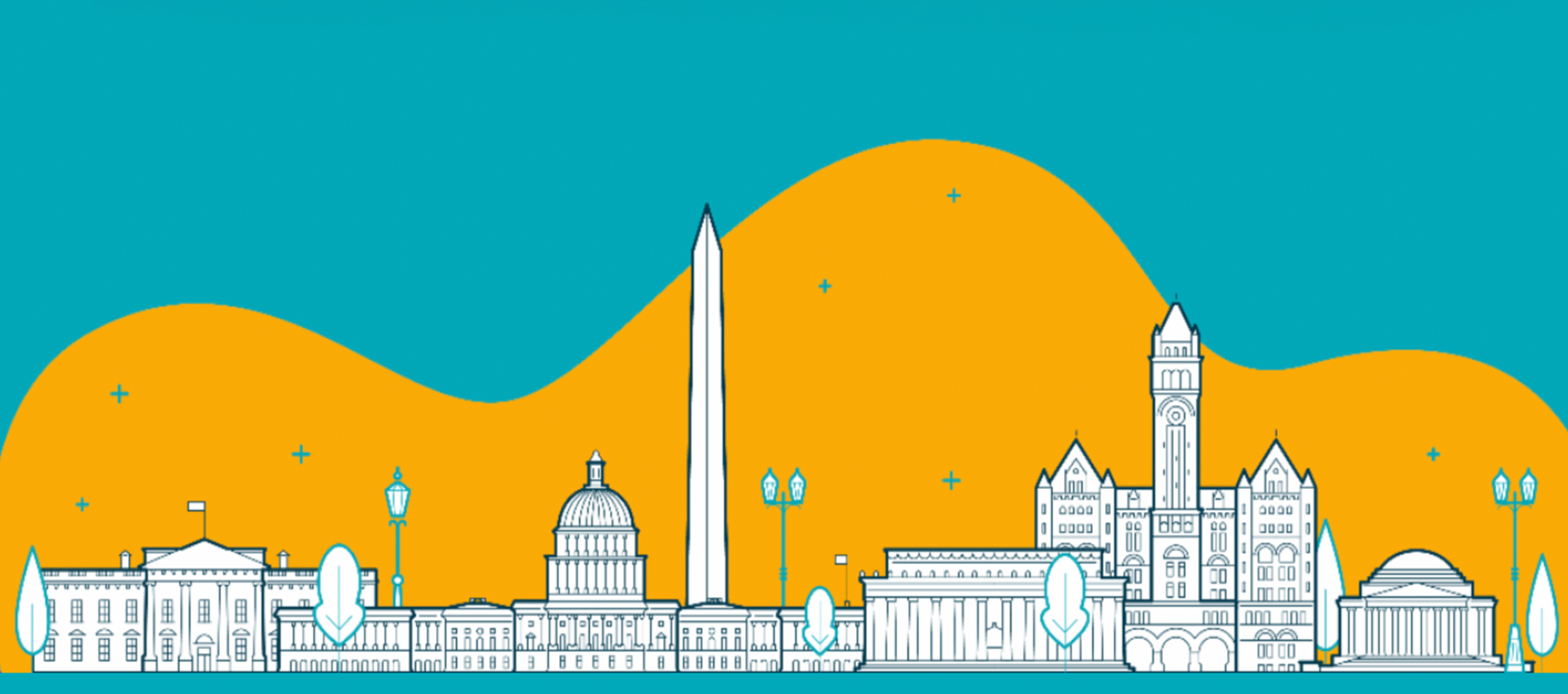 Washington DC Skyline