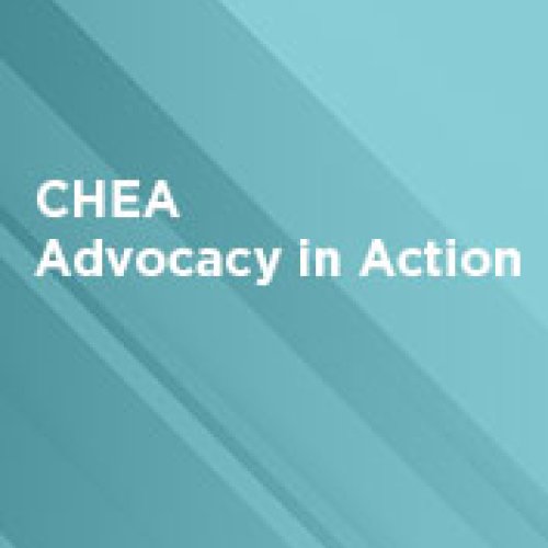Advocacy in Action Title